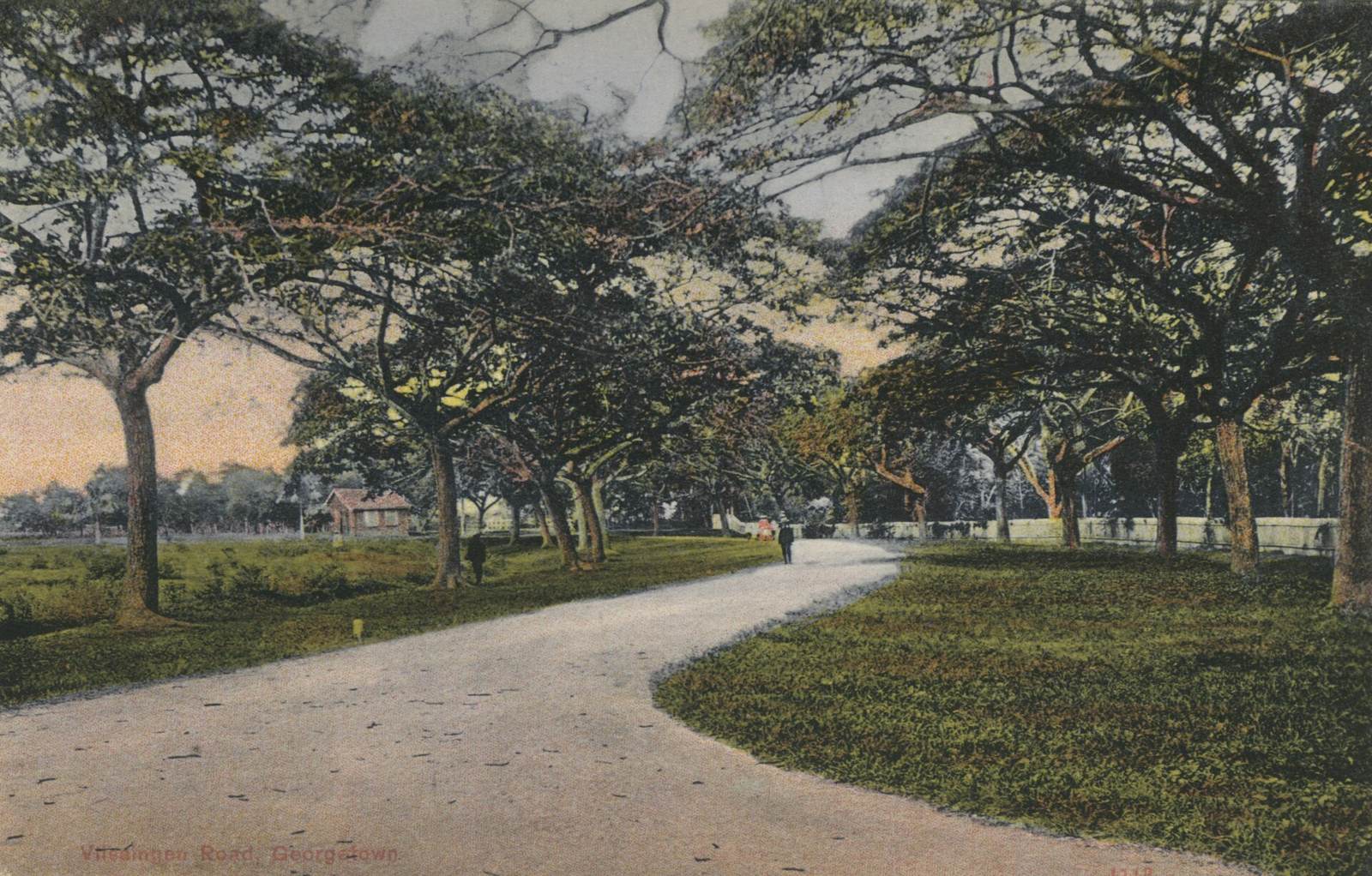 Vlissingen Road on the Kitty side of Georgetown around 1910: a wide unpaved road curving under large shade trees past a small cottage
